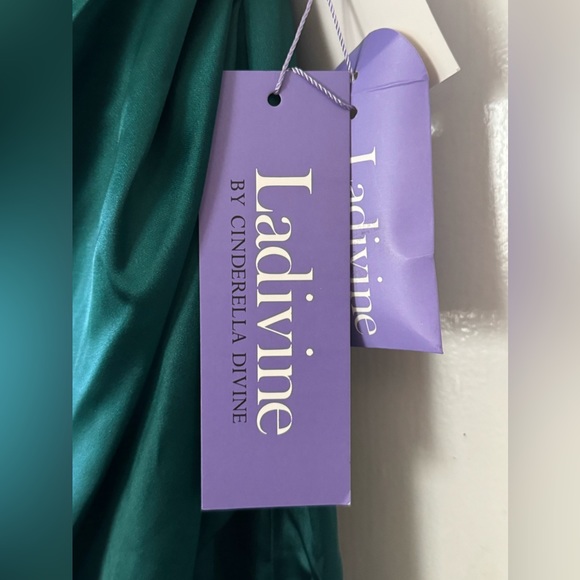 Cinderella Divine: Luxurious Satin Dress for a Grand Entrance